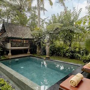 Moringa Villa